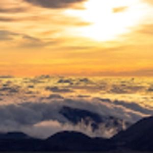 Meet your Posher, Chase